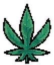 marijuana