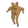 CatDanceMach Discord Emoji