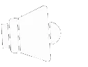 voice