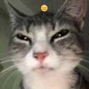 __