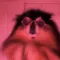 doggy_dance