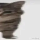 widecat3
