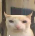 sqarg
