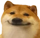 DoggoSmile