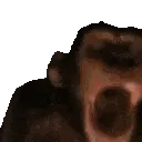 MONKE