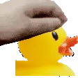 PETTHEDUCKY