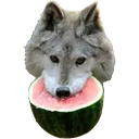 WatermelonWolf
