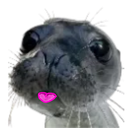 FinnegasBlep