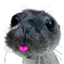 FinnegasBlep