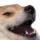 LUL