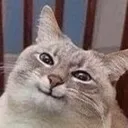 catSmile