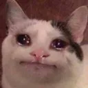 cryinginside