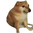 hornybonk1