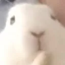 rab