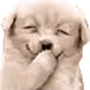 TTEgiggle