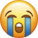 troioi