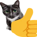9578thumbsupcat