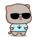 coolwalk