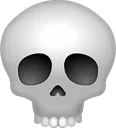 skull