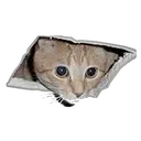 CatCeiling
