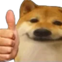 thumpsupshiba
