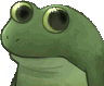 FroggieConfused Discord Emoji