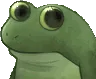 FroggieConfused
