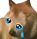 Cryis