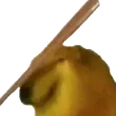 bonkDog