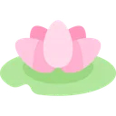 waterlily