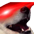 laserkek