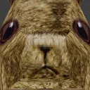 bnu_stare