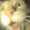 creature