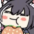 KyaruBorgar