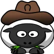 CowboySheep