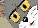 CatWHAT