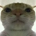 Hello