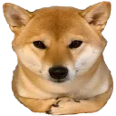uberbargain