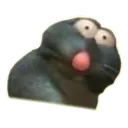 EwRat EwRat
