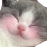 __ Discord emoji