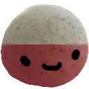 roc_polish roc_polish