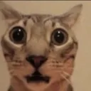 What