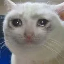 emoji_14