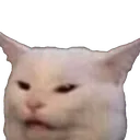 JVT_Nani JVT_Nani