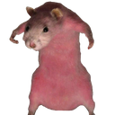 sourischad Discord emoji