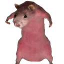 :sourischad: sourischad