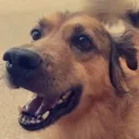 Cooper_smile3