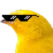 chickums