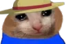sadCatInAHat