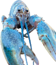 moridin Discord emoji